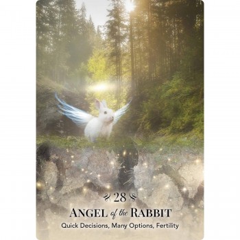 Angels of Nature Oracle kortos Hay House